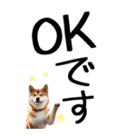老眼でも見える柴犬スタンプ 2（個別スタンプ：2）
