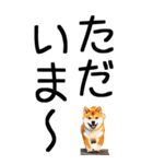 老眼でも見える柴犬スタンプ 2（個別スタンプ：9）