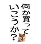 老眼でも見える柴犬スタンプ 2（個別スタンプ：21）