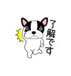 【動く】フレンチブルドックのブルちゃん49（個別スタンプ：1）