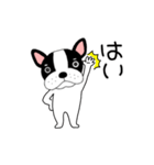 【動く】フレンチブルドックのブルちゃん49（個別スタンプ：3）
