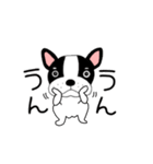 【動く】フレンチブルドックのブルちゃん49（個別スタンプ：4）