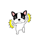 【動く】フレンチブルドックのブルちゃん49（個別スタンプ：5）