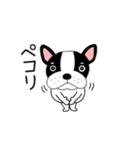 【動く】フレンチブルドックのブルちゃん49（個別スタンプ：11）