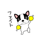 【動く】フレンチブルドックのブルちゃん49（個別スタンプ：13）
