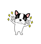 【動く】フレンチブルドックのブルちゃん49（個別スタンプ：14）
