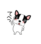 【動く】フレンチブルドックのブルちゃん49（個別スタンプ：18）