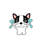 【動く】フレンチブルドックのブルちゃん49（個別スタンプ：19）