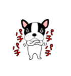 【動く】フレンチブルドックのブルちゃん49（個別スタンプ：20）