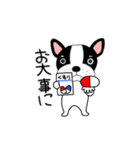 【動く】フレンチブルドックのブルちゃん49（個別スタンプ：24）