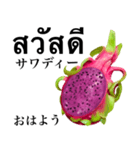南国のドラゴンフルーツ 【タイ語】（個別スタンプ：1）