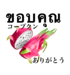 南国のドラゴンフルーツ 【タイ語】（個別スタンプ：4）