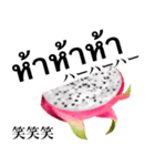 南国のドラゴンフルーツ 【タイ語】（個別スタンプ：10）