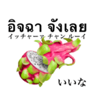 南国のドラゴンフルーツ 【タイ語】（個別スタンプ：12）