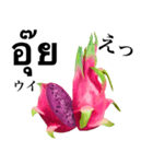 南国のドラゴンフルーツ 【タイ語】（個別スタンプ：13）