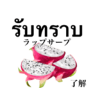 南国のドラゴンフルーツ 【タイ語】（個別スタンプ：14）