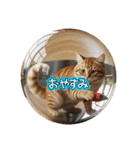 うったん1130（個別スタンプ：7）