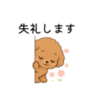 トイプードルの使いやすい日常会話スタンプ（個別スタンプ：9）