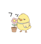ガラの悪いひよこ（個別スタンプ：2）