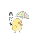 ガラの悪いひよこ（個別スタンプ：4）