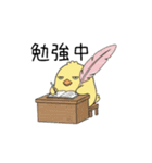 ガラの悪いひよこ（個別スタンプ：22）