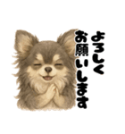 きょんももひなまり♥きょんたのスタンプ1（個別スタンプ：6）