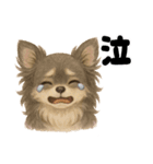 きょんももひなまり♥きょんたのスタンプ1（個別スタンプ：13）