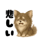 きょんももひなまり♥きょんたのスタンプ1（個別スタンプ：14）