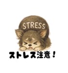 きょんももひなまり♥きょんたのスタンプ1（個別スタンプ：34）