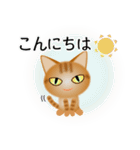 色々な猫11-1 短毛-立ち耳-茶トラ（個別スタンプ：5）