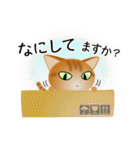 色々な猫11-1 短毛-立ち耳-茶トラ（個別スタンプ：8）