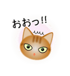 色々な猫11-1 短毛-立ち耳-茶トラ（個別スタンプ：10）