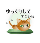 色々な猫11-1 短毛-立ち耳-茶トラ（個別スタンプ：12）