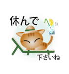 色々な猫11-1 短毛-立ち耳-茶トラ（個別スタンプ：13）