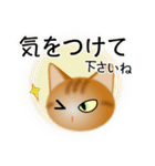 色々な猫11-1 短毛-立ち耳-茶トラ（個別スタンプ：14）