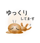 色々な猫11-1 短毛-立ち耳-茶トラ（個別スタンプ：18）