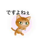 色々な猫11-1 短毛-立ち耳-茶トラ（個別スタンプ：23）