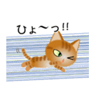 色々な猫11-1 短毛-立ち耳-茶トラ（個別スタンプ：34）