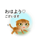 色々な猫11-2 短毛-垂れ耳-茶トラ（個別スタンプ：1）