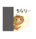 色々な猫11-2 短毛-垂れ耳-茶トラ（個別スタンプ：6）