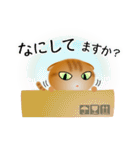 色々な猫11-2 短毛-垂れ耳-茶トラ（個別スタンプ：8）