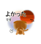 色々な猫11-2 短毛-垂れ耳-茶トラ（個別スタンプ：11）
