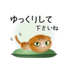 色々な猫11-2 短毛-垂れ耳-茶トラ（個別スタンプ：12）