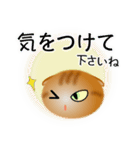 色々な猫11-2 短毛-垂れ耳-茶トラ（個別スタンプ：14）