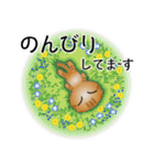 色々な猫11-2 短毛-垂れ耳-茶トラ（個別スタンプ：19）