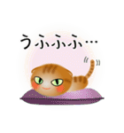 色々な猫11-2 短毛-垂れ耳-茶トラ（個別スタンプ：25）