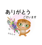 色々な猫11-2 短毛-垂れ耳-茶トラ（個別スタンプ：31）