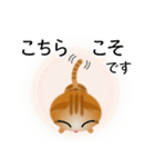 色々な猫11-2 短毛-垂れ耳-茶トラ（個別スタンプ：32）