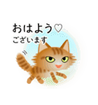 色々な猫11-3 長毛-立ち耳-茶トラ（個別スタンプ：1）