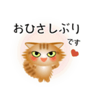 色々な猫11-3 長毛-立ち耳-茶トラ（個別スタンプ：3）